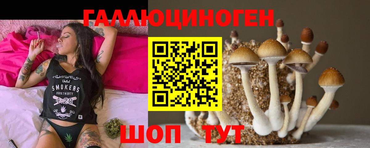 Амурск  Псилоцибиновые грибы прущие грибы  Вход с VPN 